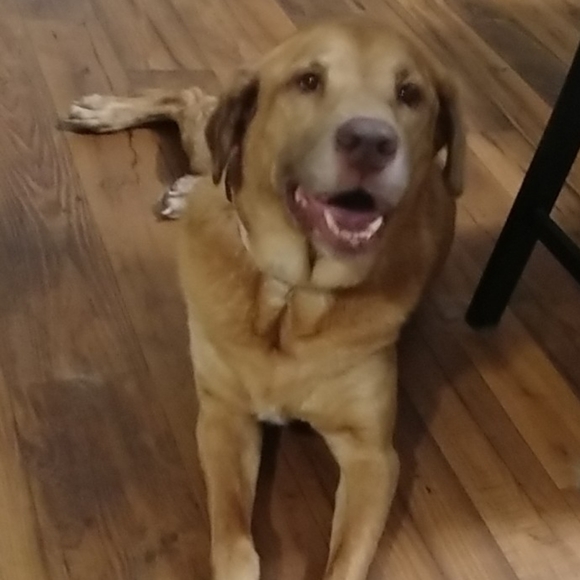 Meet your Posher, Debra! - Picture 4 of 5